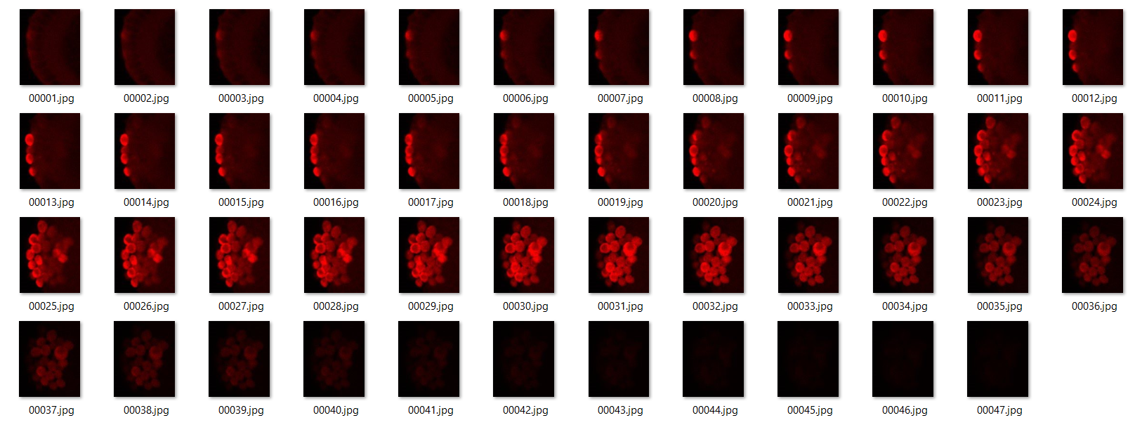 Raw Fruit Fly Data